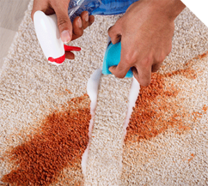 Carpet Cleaning Wahroonga