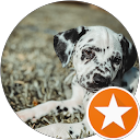 Sean M profile picture