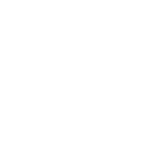 Established Since 2000